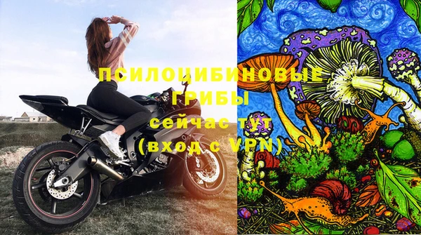 наркотики Новозыбков