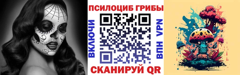 закладка  hydra ссылки  Галлюциногенные грибы Magic Shrooms  Рассказово 